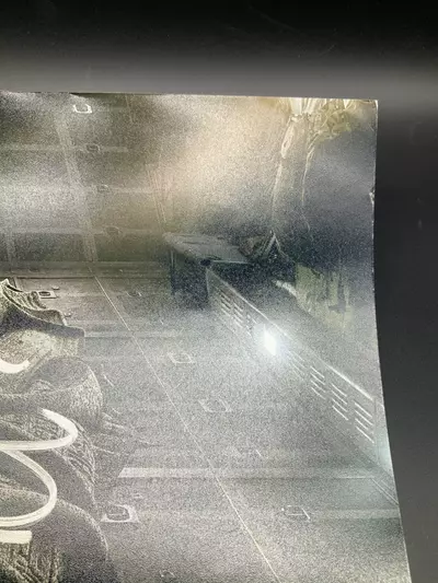 plant/Sofia Boutella Autographed 12x18” Photo “THE MUMMY” JSA COA, FAIR-5-thumbnail