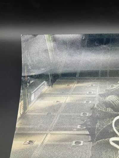 plant/Sofia Boutella Autographed 12x18” Photo “THE MUMMY” JSA COA, FAIR-4-thumbnail