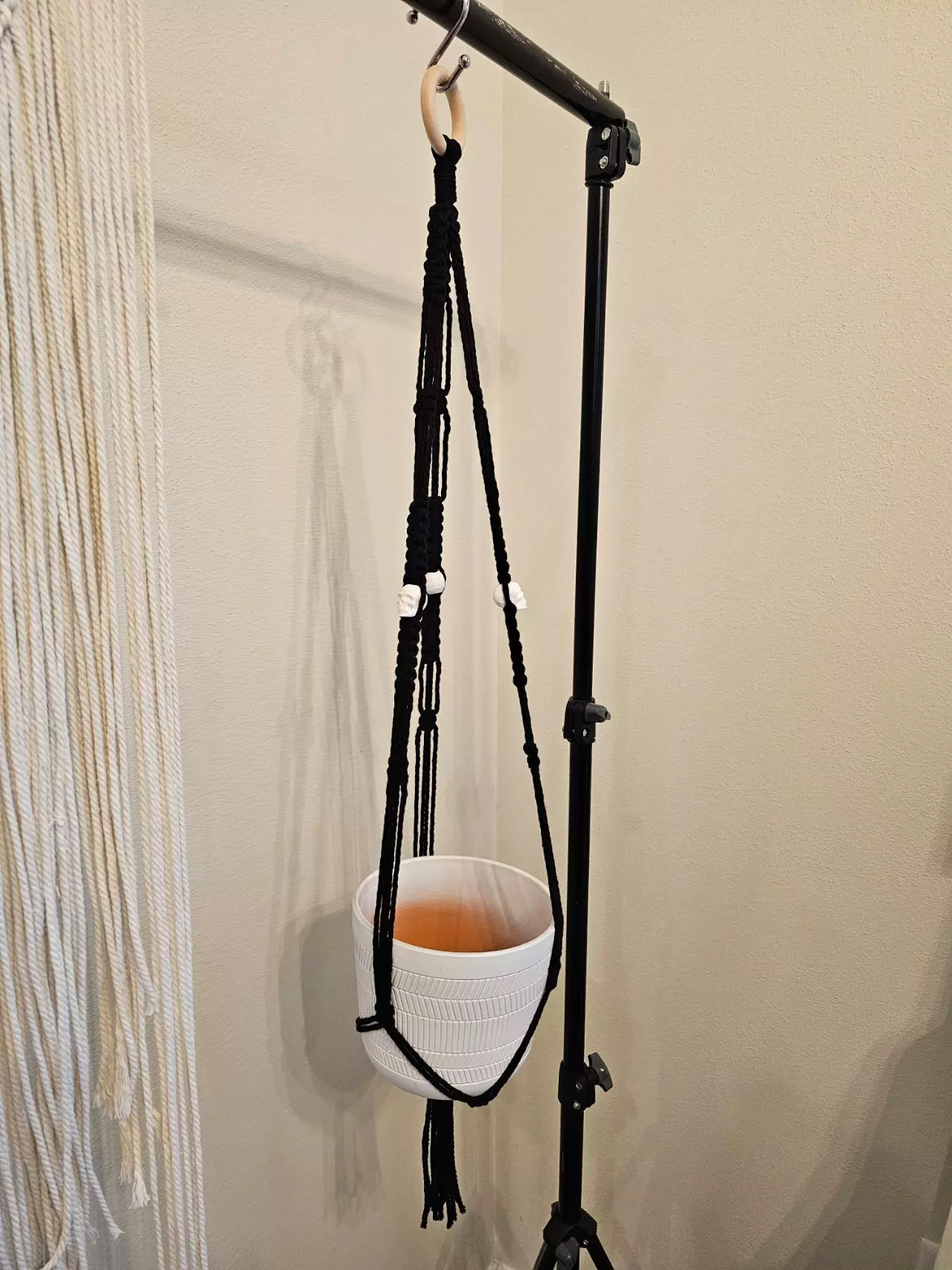 plant/Skull plant hanger-1