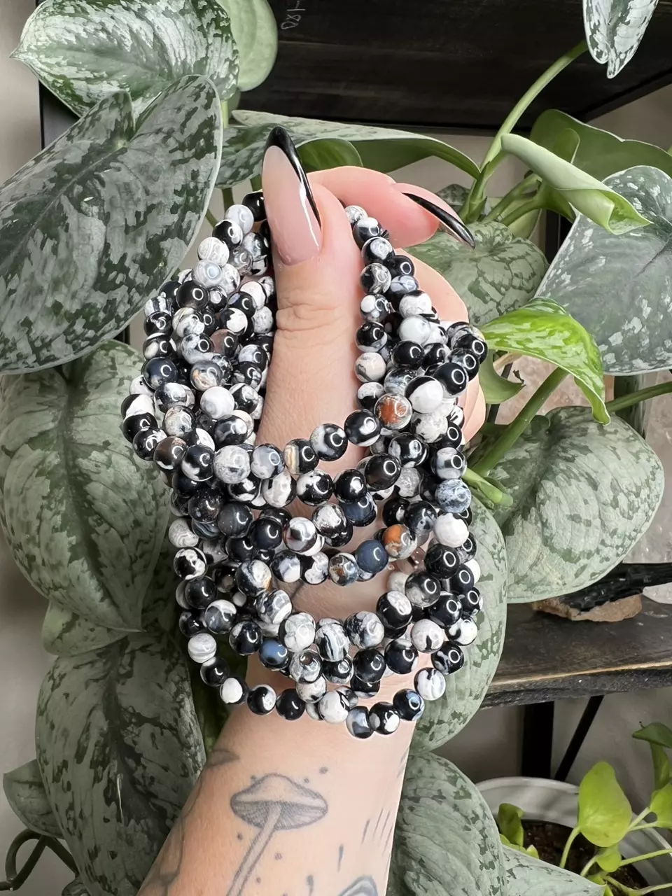 plant/Orca Agate 6mm-0