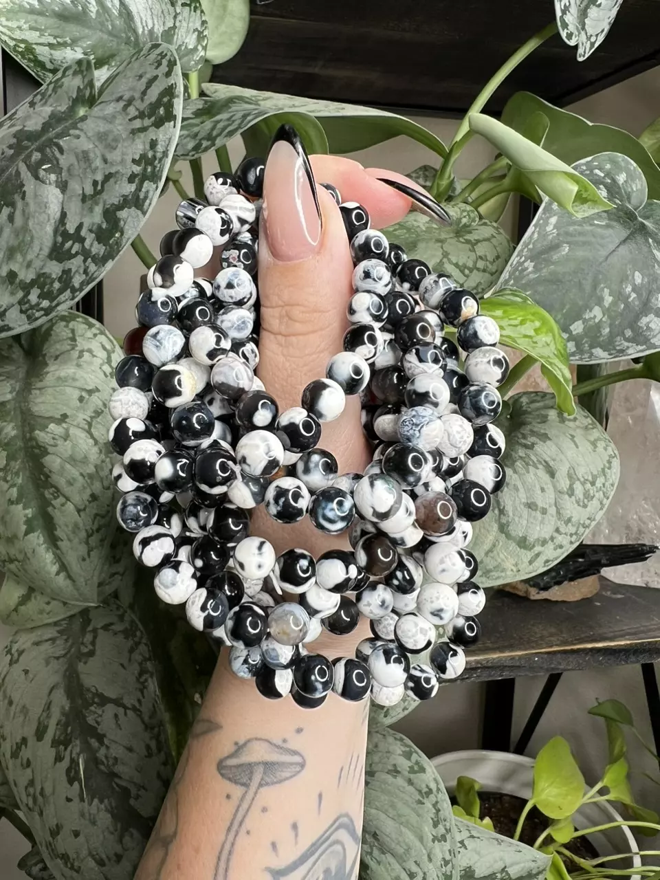 plant/Orca Agate 8mm-0