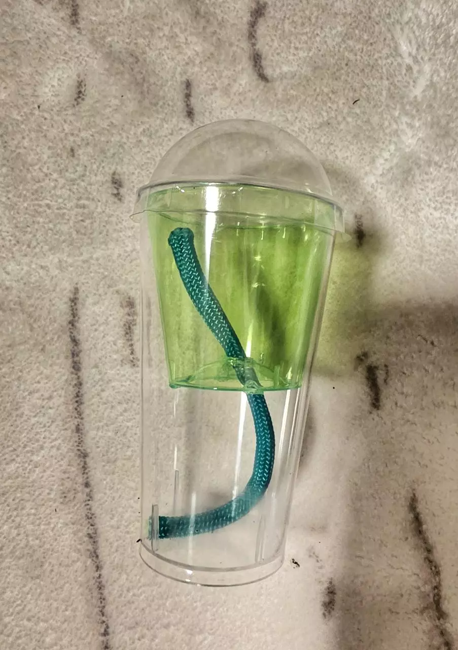 plant/5x Self-watering Corm or seed starter cup-0