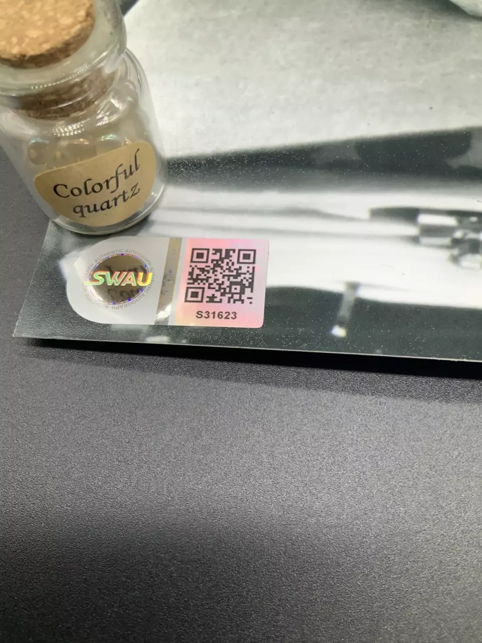 plant/Talia Shire autograph signed 11x14 Photo SWAU COA, Godfather, Rocky-2