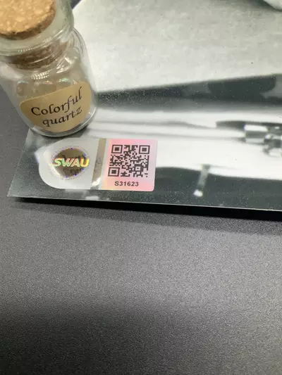 plant/Talia Shire autograph signed 11x14 Photo SWAU COA, Godfather, Rocky-2-thumbnail