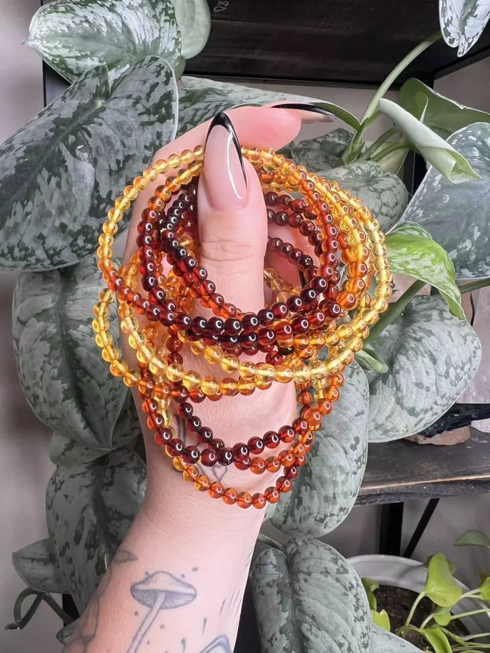 plant/Amber Ombre 5mm (UV Reactive)-0