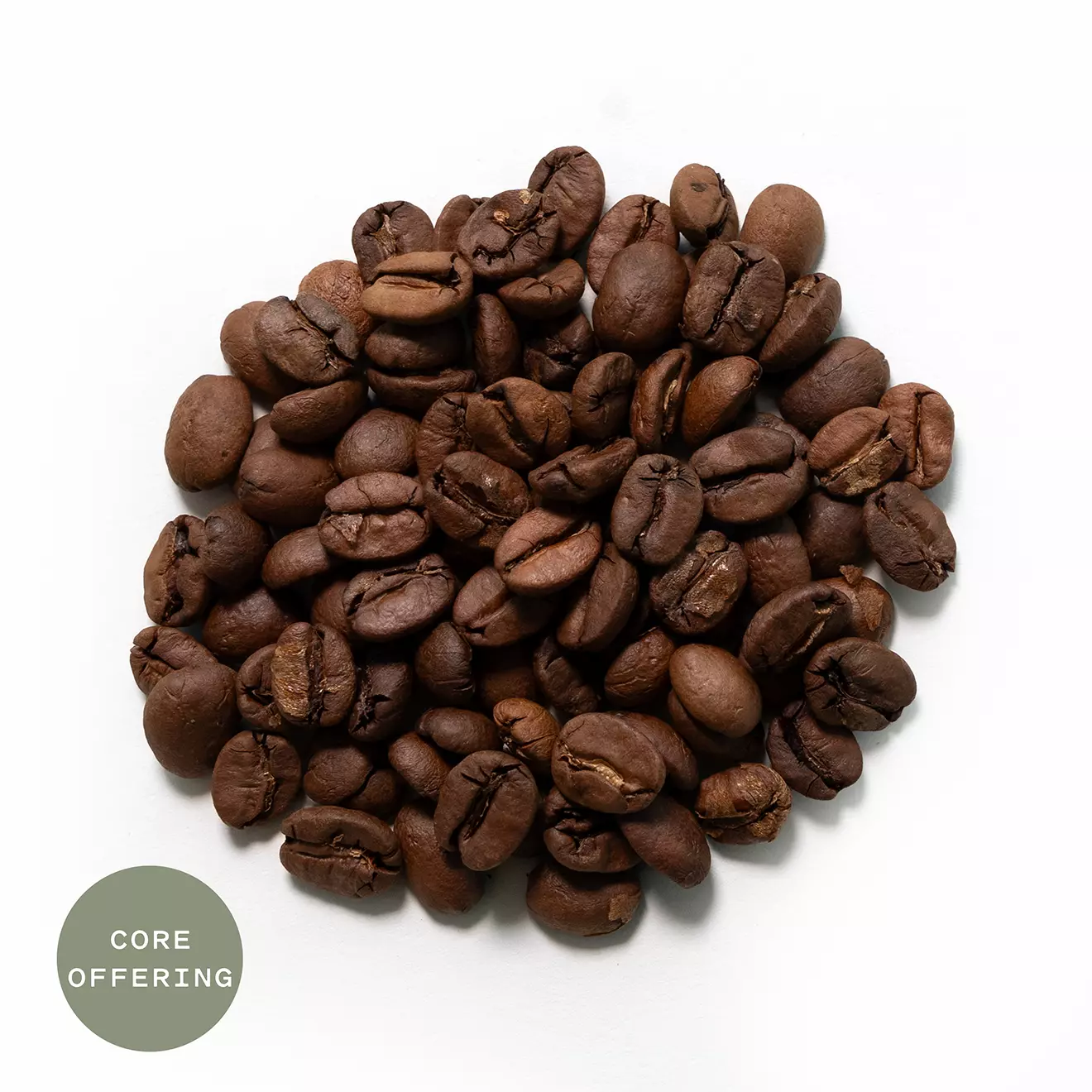 plant/MINAS - Brazil (12oz)-0