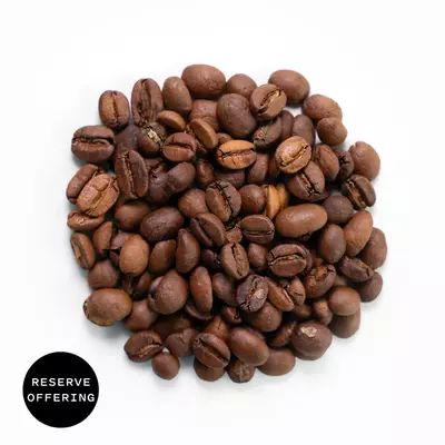 plant/KENYA AA - Kenya (12oz)-0-thumbnail