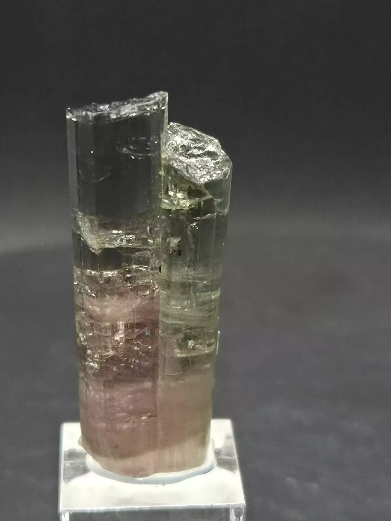 plant/Aricanga Tourmaline: Minas Gerais, Brazil 6.11g-0