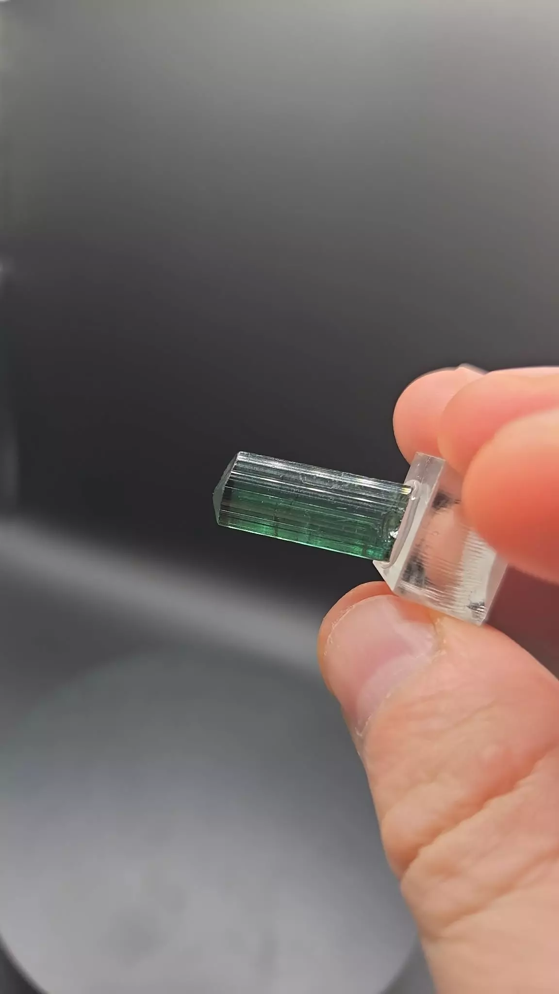 plant/Tourmaline: Agua Branca, Brazil 2.9g-0