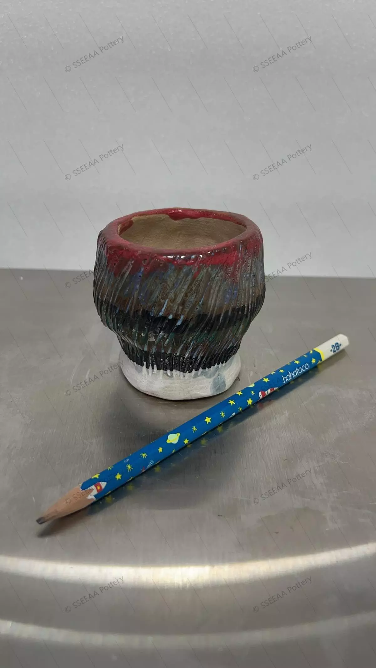 plant/pottery_20260114_100-0