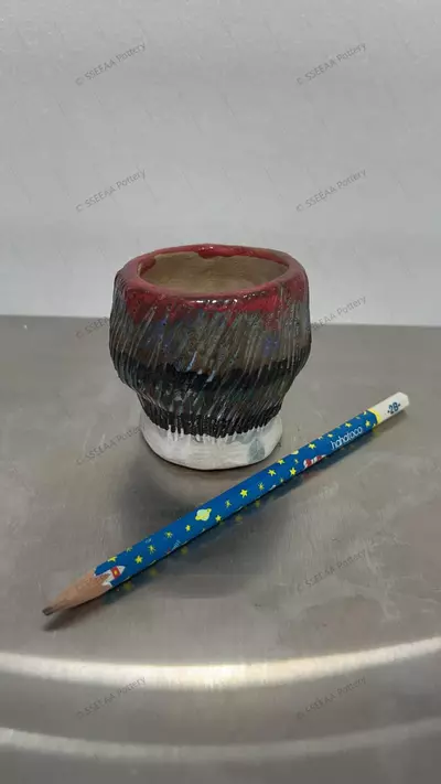 plant/pottery_20260114_100-0-thumbnail