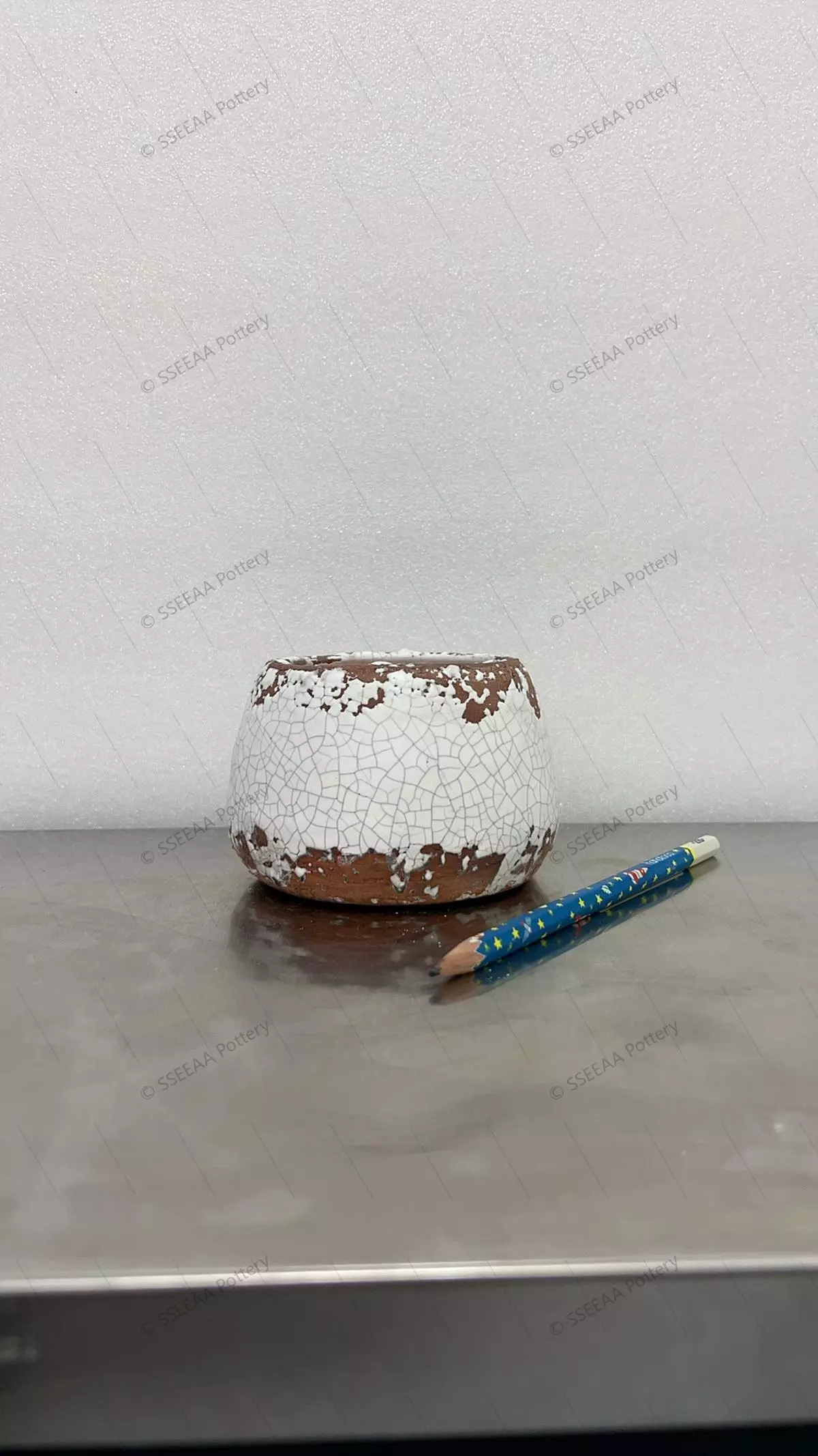 plant/pottery_20260114_5-0