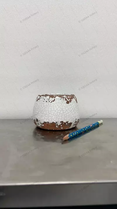 plant/pottery_20260114_5-0-thumbnail