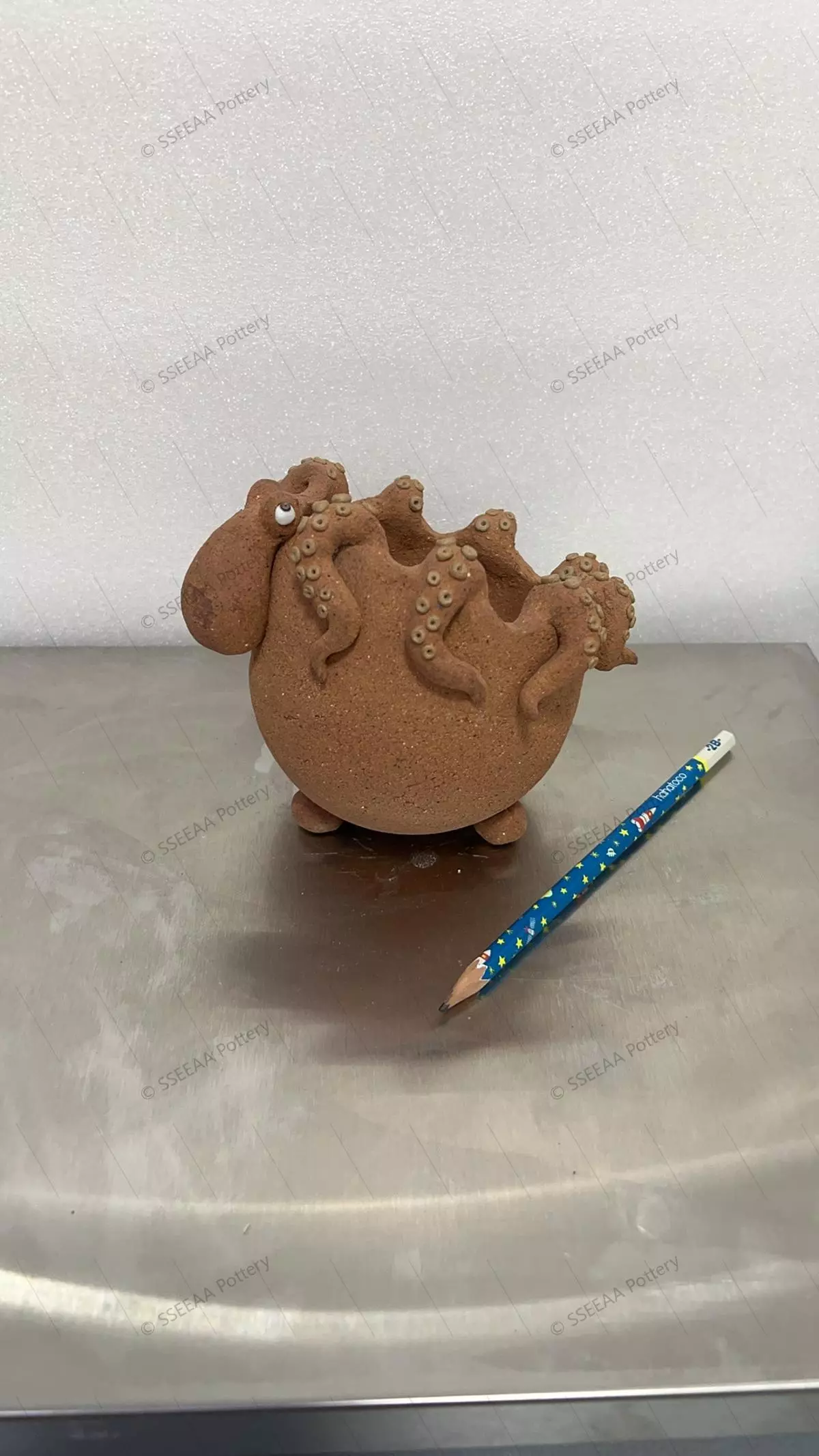 plant/pottery_20260114_44-0