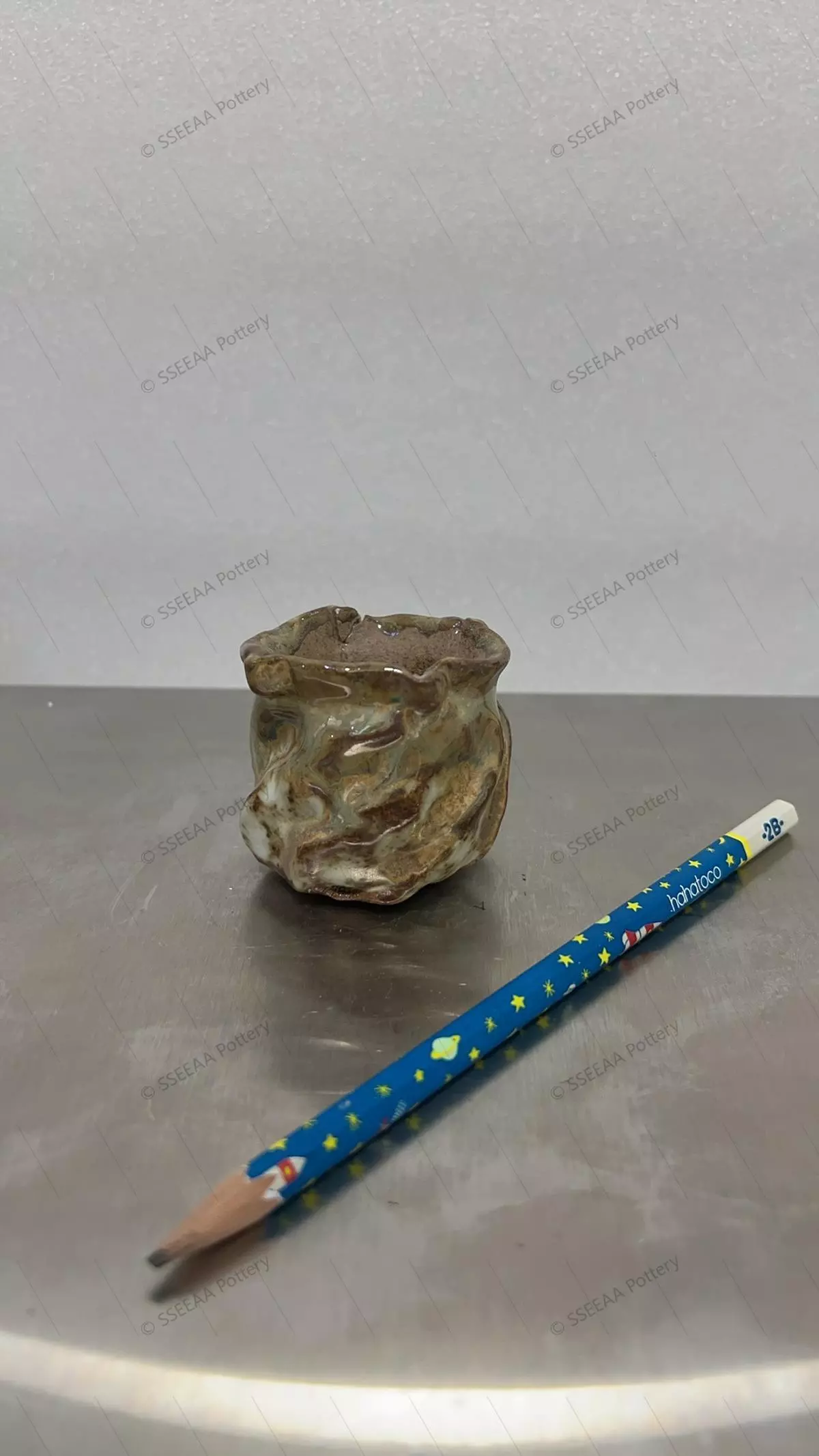 plant/pottery_20260114_97-0