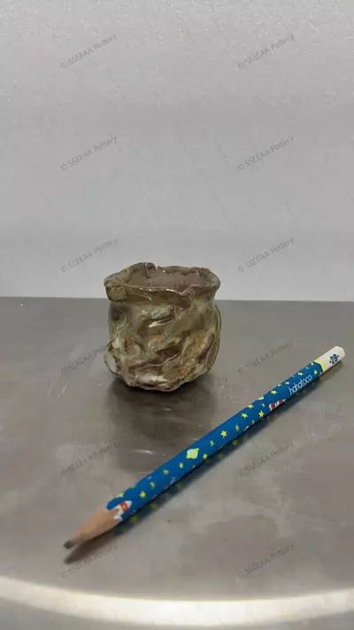 plant/pottery_20260114_97-0-thumbnail