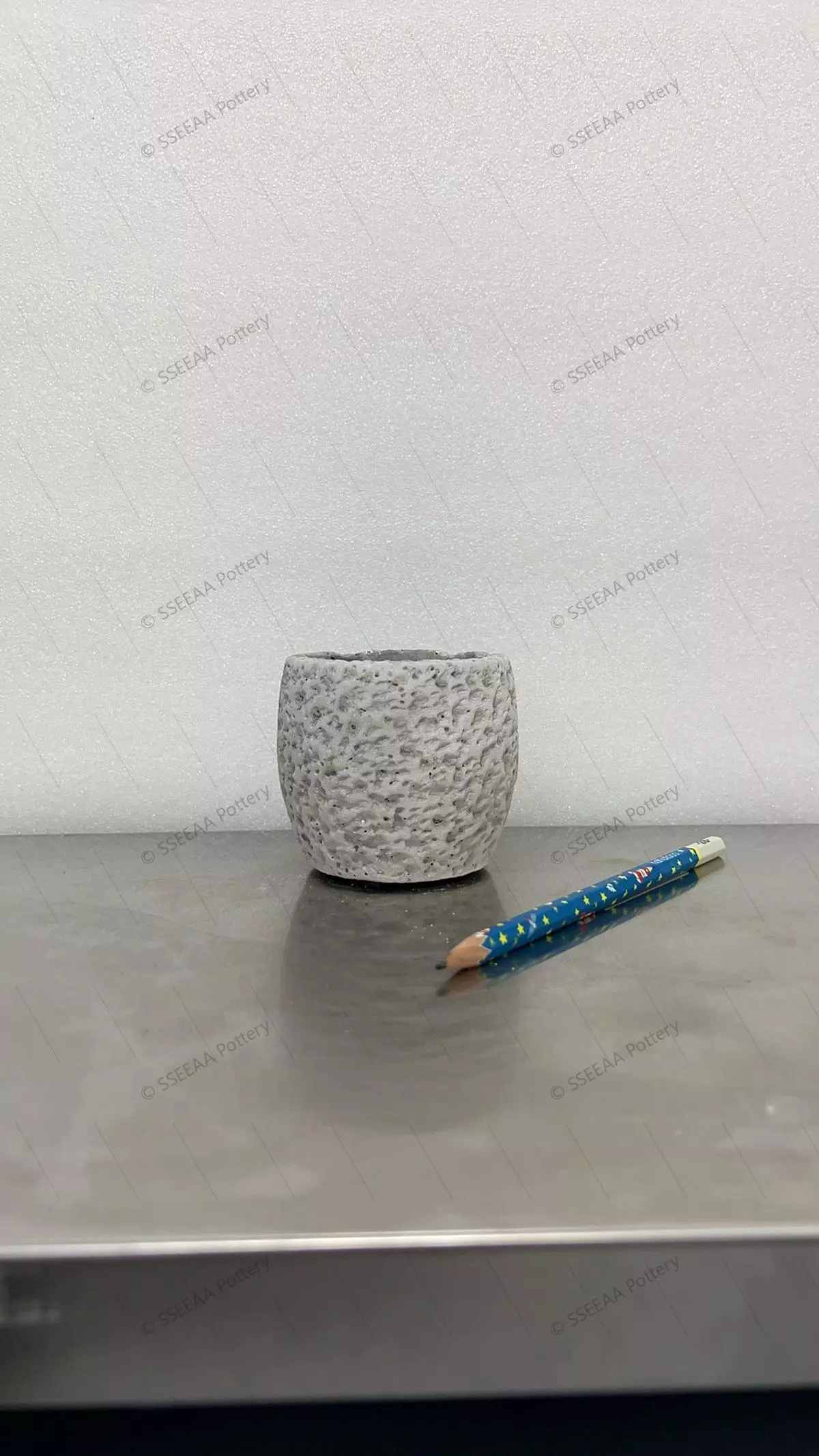 plant/pottery_20260114_17-0