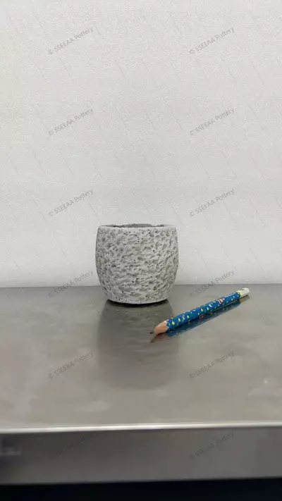 plant/pottery_20260114_17-0-thumbnail