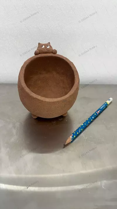 plant/pottery_20260114_45-0-thumbnail