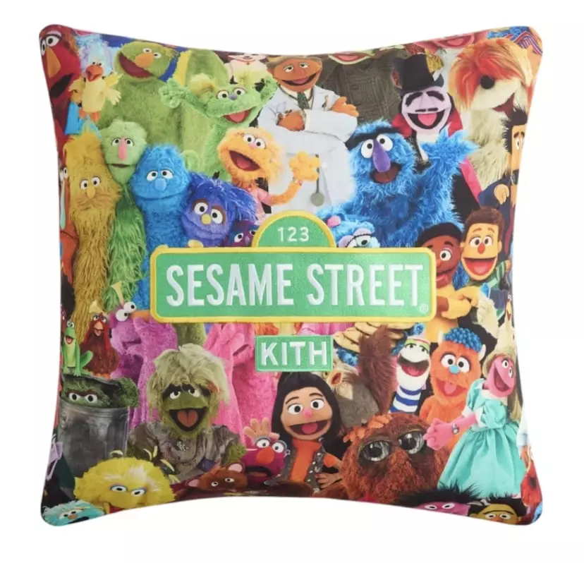 plant/[OS/New] Kith x Sesame Street Pillow - 633747-0