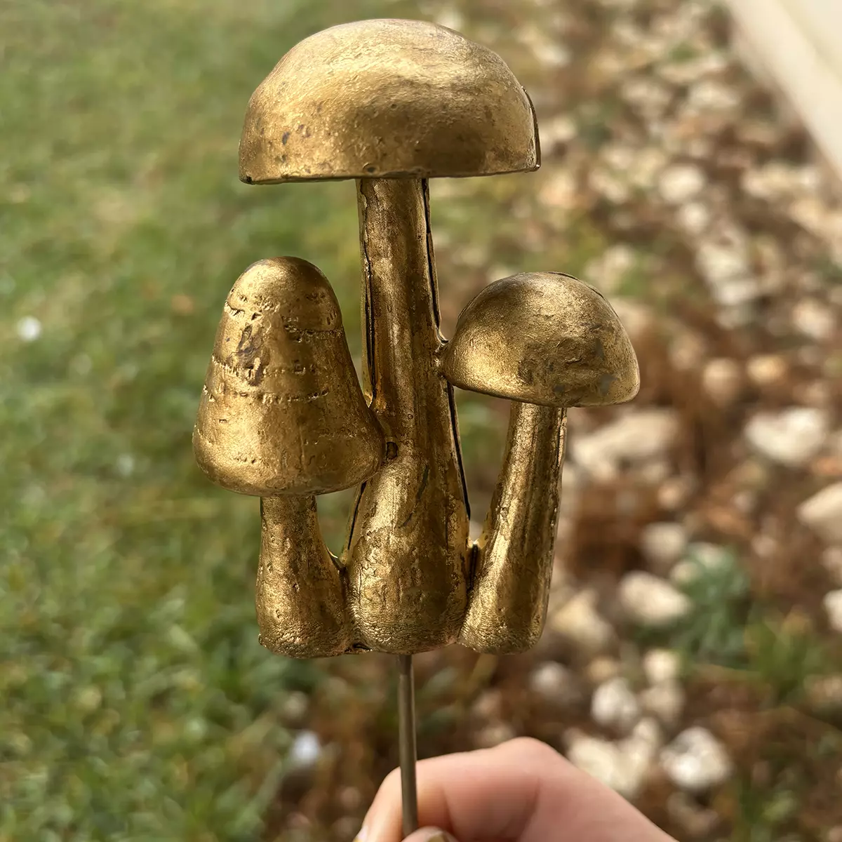 plant/Gold Mushroom plant stick-0