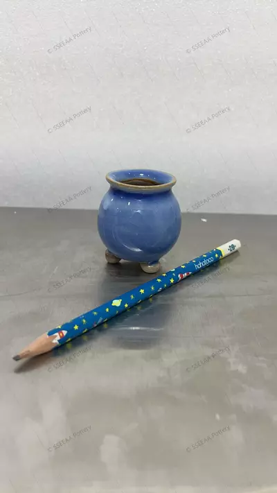 plant/171-0-thumbnail