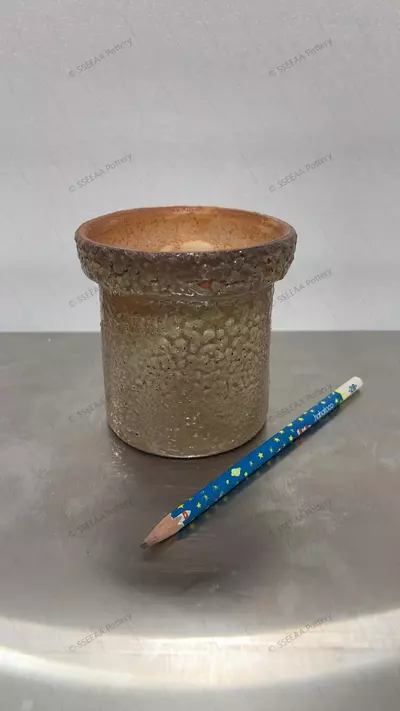 plant/105-0-thumbnail