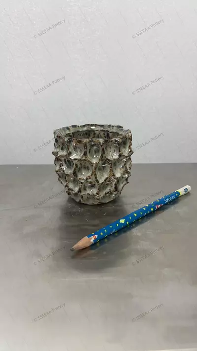 plant/197-0-thumbnail