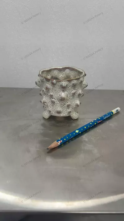 plant/200-0-thumbnail