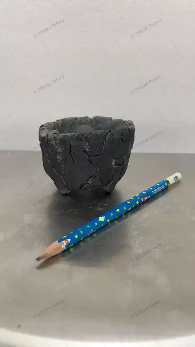 plant/115-0-thumbnail