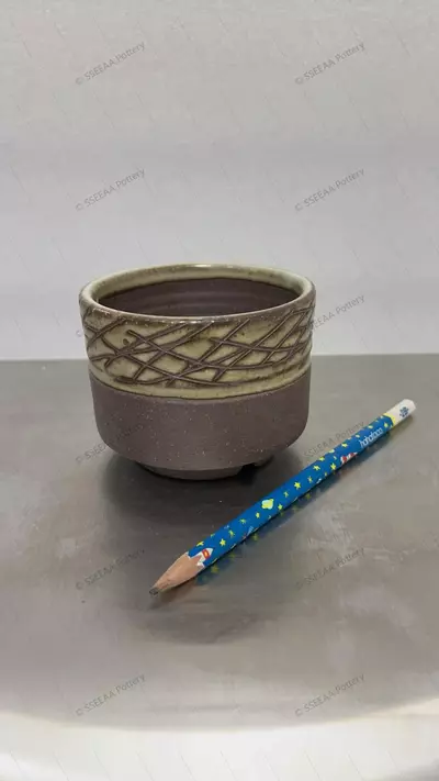 plant/104-0-thumbnail