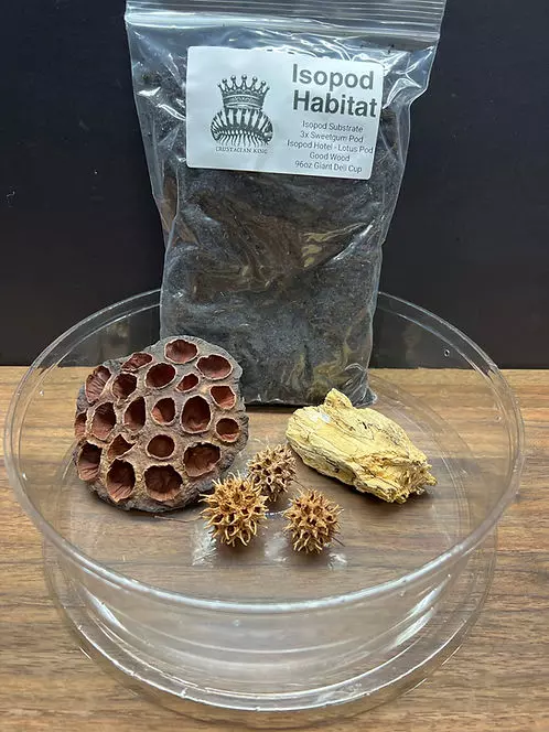 plant/Isopod Habitat-0