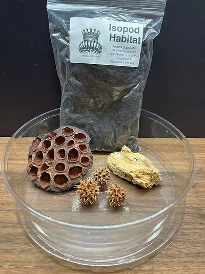 plant/Isopod Habitat-0-thumbnail