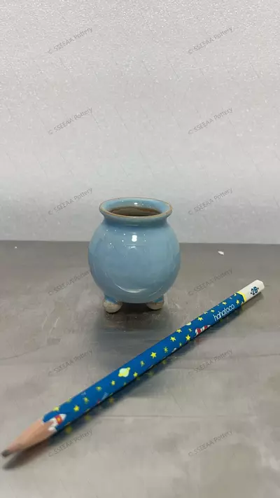 plant/170-0-thumbnail