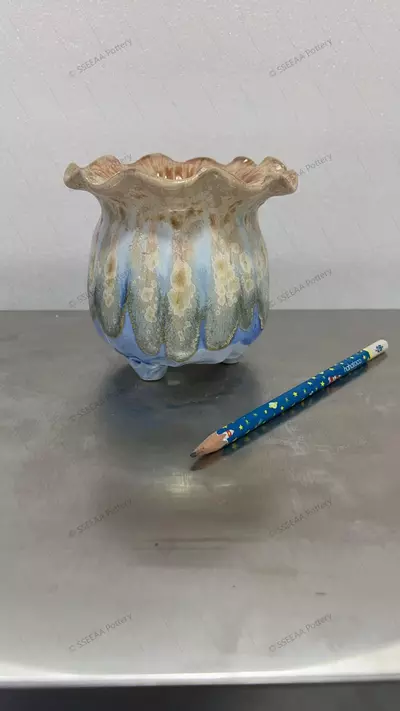 plant/111-0-thumbnail