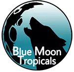 plant/Blue Moon Tropicals-0