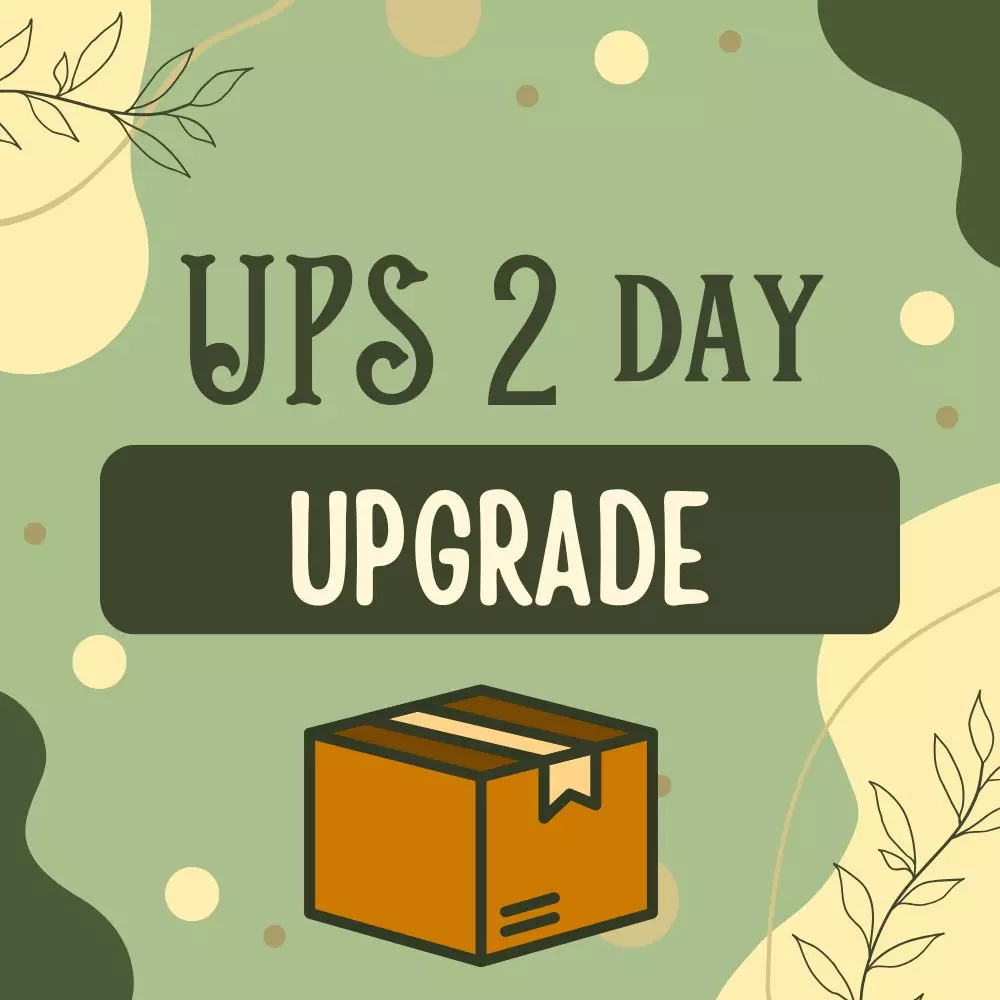 plant/UPS 2nd day air upgrade-0
