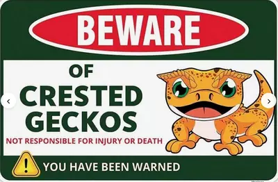 plant/Crested Gecko Sign Decor-0-thumbnail