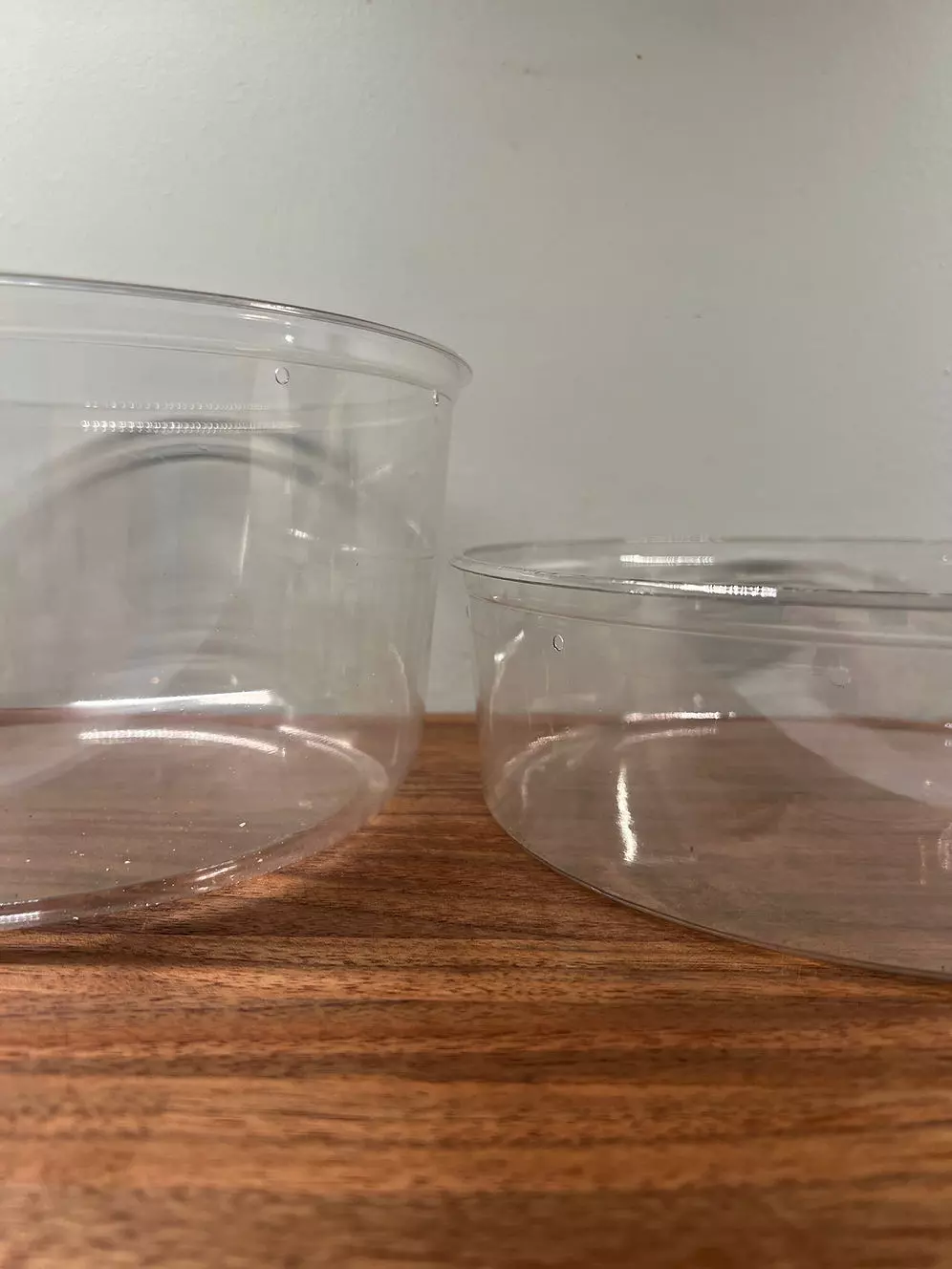 plant/Giant Deli Cups + Lid-0