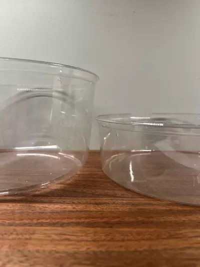 plant/Giant Deli Cups + Lid-0-thumbnail