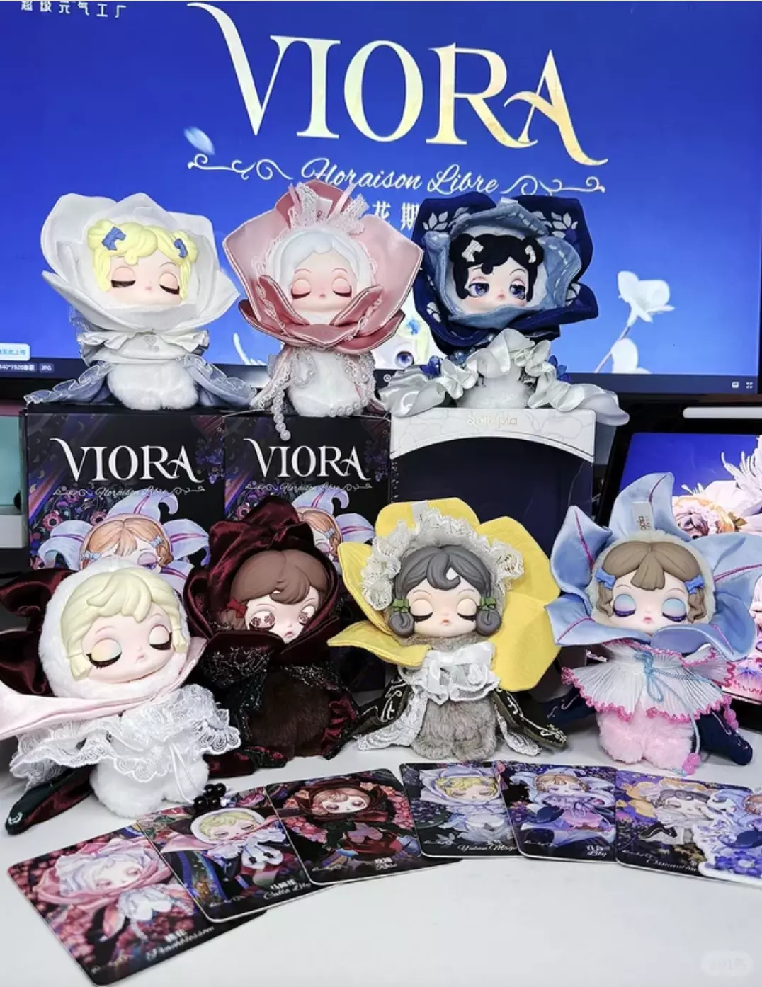 plant/1Box Viora Floraison Libre Series-0