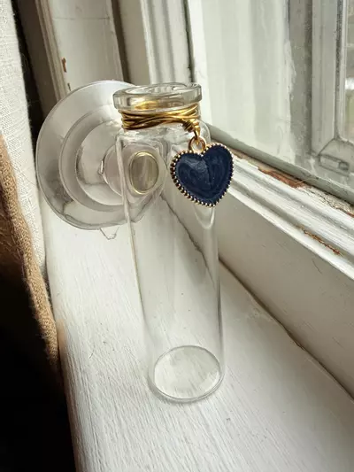 plant/💙NEW! Magnetic Prop Station: Little Blue Hearts *Valentine *Heart *Objects-3-thumbnail