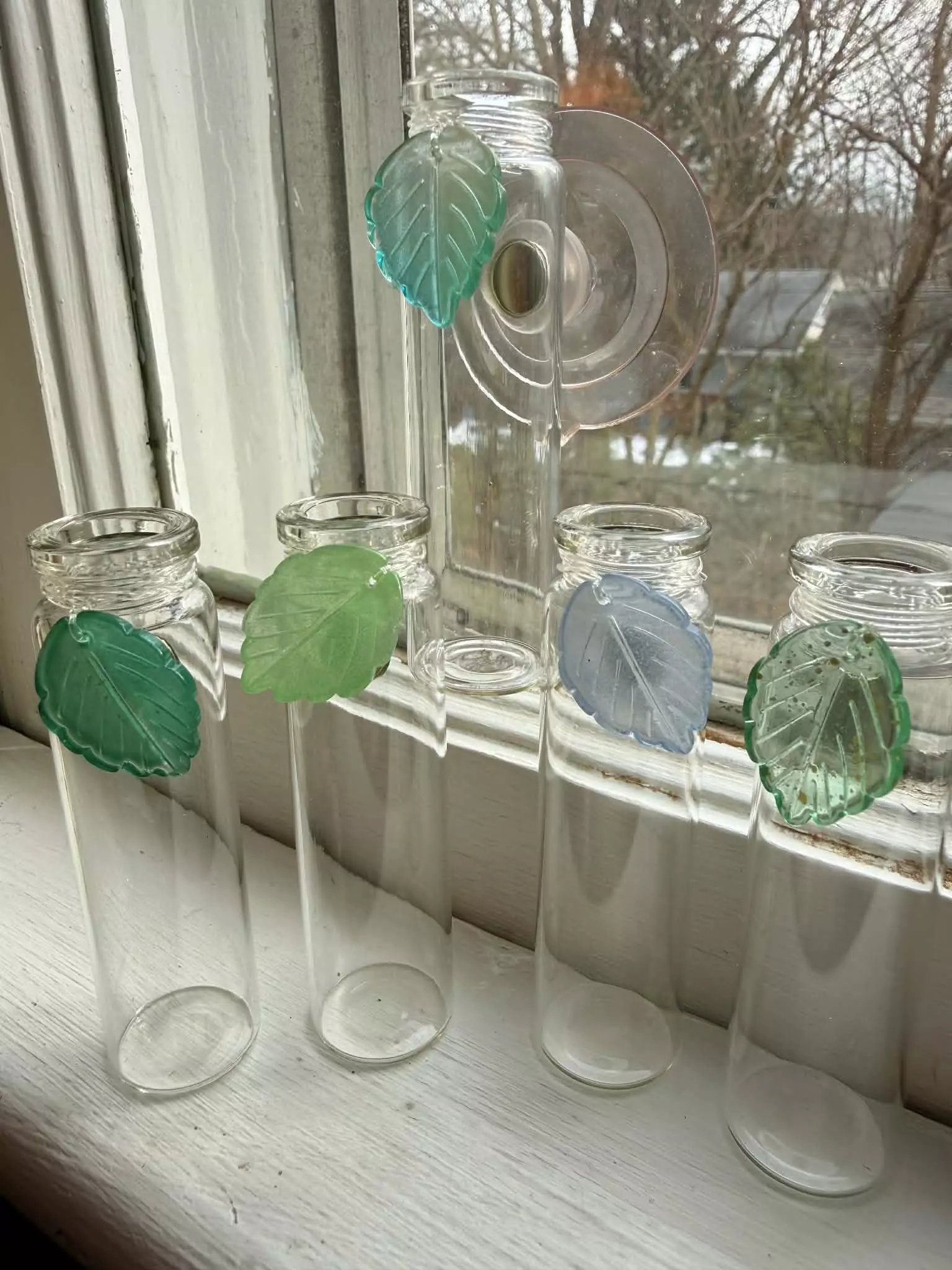 plant/🌱NEW! Magnetic Prop Station: Translucent Leaves *Nature-0