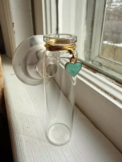 plant/💙NEW! Magnetic Prop Station: Little Blue Hearts *Valentine *Heart *Objects-0-thumbnail