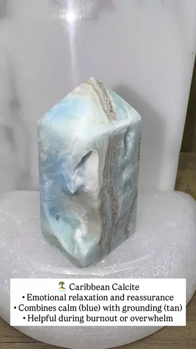 plant/Carribean Calcite Tower-0-thumbnail