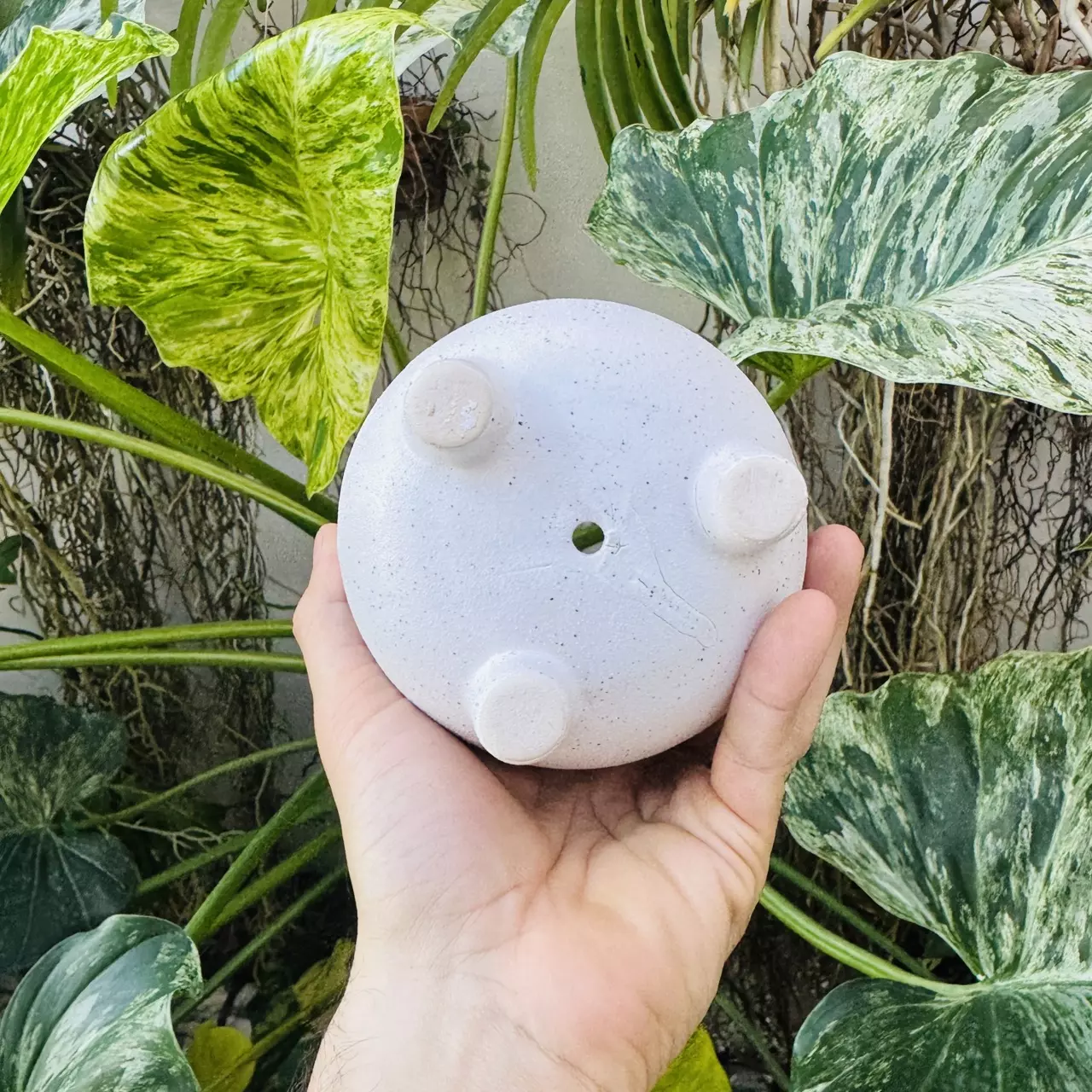 plant/Large dot2 design pot 4” opening-3