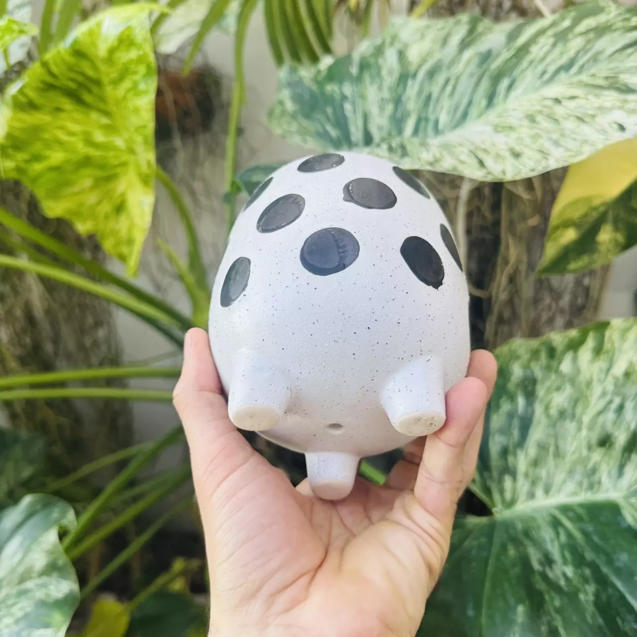 plant/Large dot design pot 4” opening-1