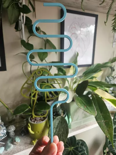 plant/Baby blue trellis-0-thumbnail
