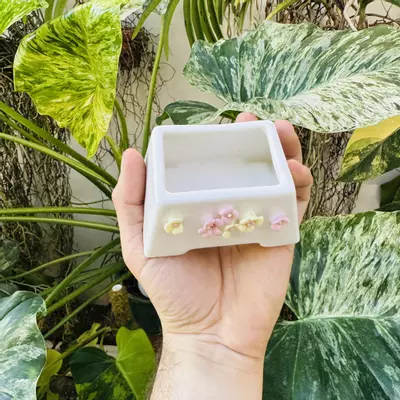 plant/Pearl pot D5 3” opening-1-thumbnail