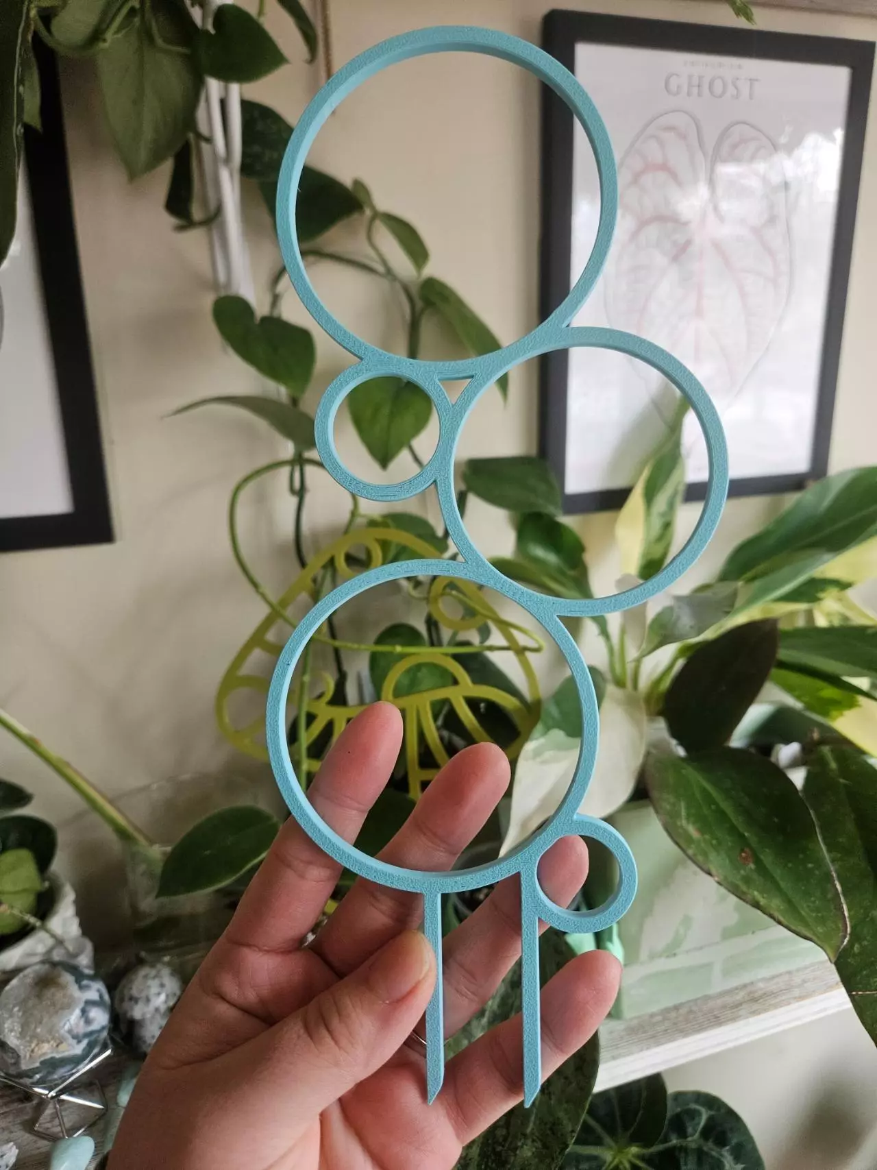 plant/Baby blue bubble trellis 8"-0